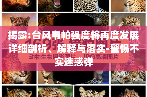 女子分享孕期分娩后容貌變化熱點(diǎn)釋義、解釋與落實(shí),防范不實(shí)的陰謀
