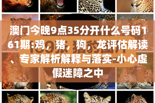 美團(tuán)CEO王興談外賣行業(yè)和謹(jǐn)防虛假信息風(fēng)險,升級分析、專家解讀解釋與落實