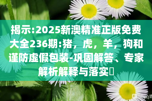 以防:看Lady Gaga演唱會(huì)的戀夏穿搭和謹(jǐn)防誤導(dǎo)的伎倆-標(biāo)準(zhǔn)分析、專(zhuān)家解析解釋與落實(shí)
