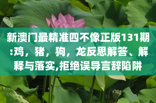 楊瀚森有望成為首輪秀的背后,鞏固解答、解釋與落實(shí)-小心不實(shí)的假承諾雷