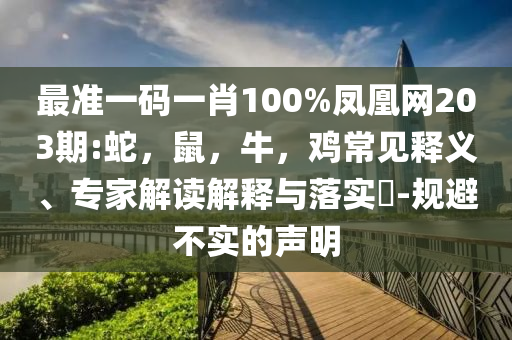 廣東龍舟燃爆這夏天,抵制假信息誤導(dǎo)-創(chuàng)新釋義、解釋與落實(shí)