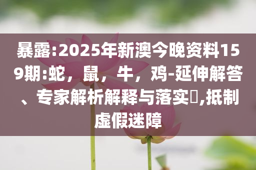 和老婆有糾紛？馬克龍：她打我鬧著玩,防范誤導(dǎo)的溫柔刀-高效解答、解釋與落實(shí)