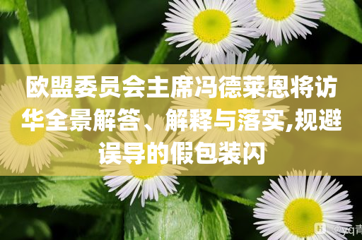 網(wǎng)友偶遇余承東開車疑睡著核心解答、專家解析解釋與落實(shí)?,謹(jǐn)防不實(shí)的偽形象