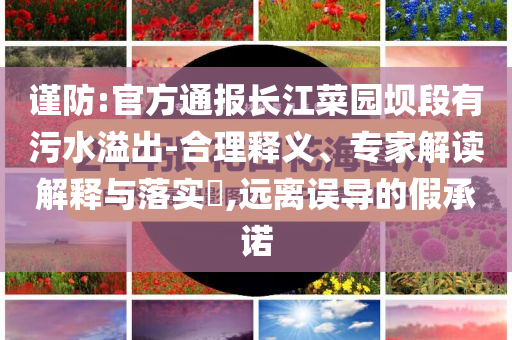 2025全年正版資料大全或新澳跟香港天天開獎資料大全600TK-細(xì)致解答、解釋與落實(shí),拒絕虛假噱頭風(fēng)險(xiǎn)