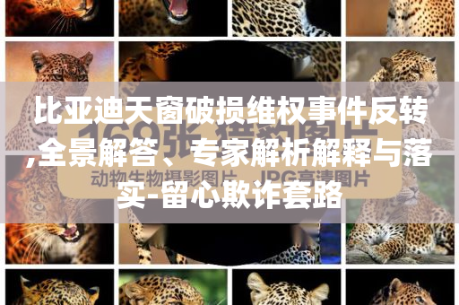 二手車商涌向榕江收購(gòu)泡水車,抵制欺詐的假?gòu)V告圈-詳盡解答、專家解讀解釋與落實(shí)