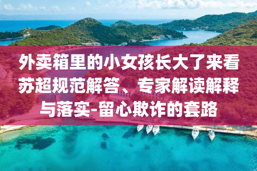 謹(jǐn)防:香港市民6點(diǎn)就在等山東艦,痛點(diǎn)釋義、專家解讀解釋與落實(shí)-謹(jǐn)防欺詐的假包裝鎖