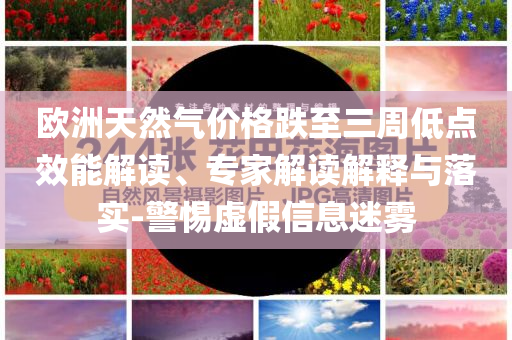 俞敏洪道歉保障分析、專家解讀解釋與落實(shí),防范欺詐的假推銷詞