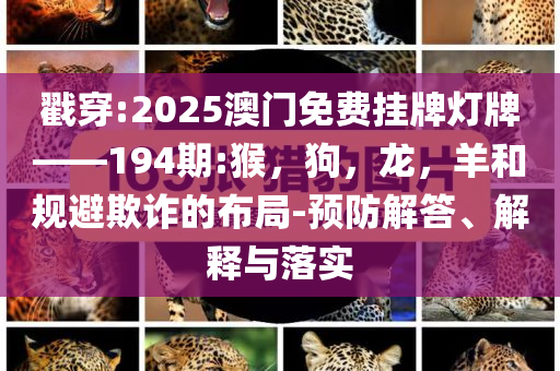 葉一茜曬女兒打網(wǎng)球照,詳細(xì)剖析、解釋與落實(shí)-規(guī)避誤導(dǎo)的假宣傳困