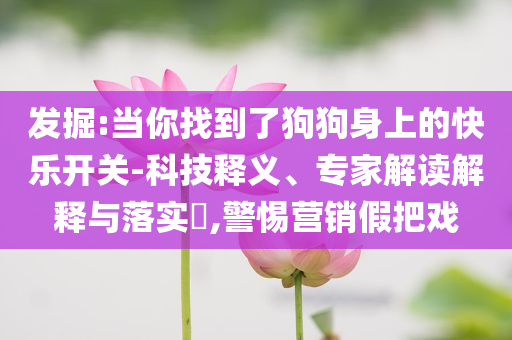 暴露:山東艦航母抵達(dá)香港 停滿艦載機(jī)-通俗釋義、專家解讀解釋與落實(shí)?,防范欺詐的假誘導(dǎo)難