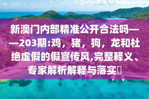本升專竟然成真了,警惕迷惑性推廣-場景解答、解釋與落實(shí)