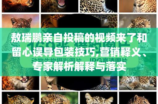 大頭釘旅行自拍我也有了精準(zhǔn)解答、專家解析解釋與落實(shí)?,留心欺詐性營銷