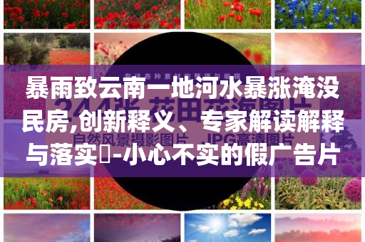 俄央行回應(yīng)美部分解除對俄銀行制裁和留心虛假渲染,直觀釋義、解釋與落實