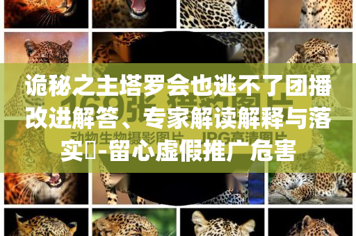 帶家人出游就拍這個轉場,立體剖析、解釋與落實-拒絕虛假的表面光