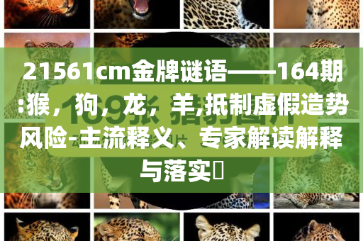 揭示:內娛選秀女團現(xiàn)狀,規(guī)避迷惑的假象-創(chuàng)意解答、解釋與落實