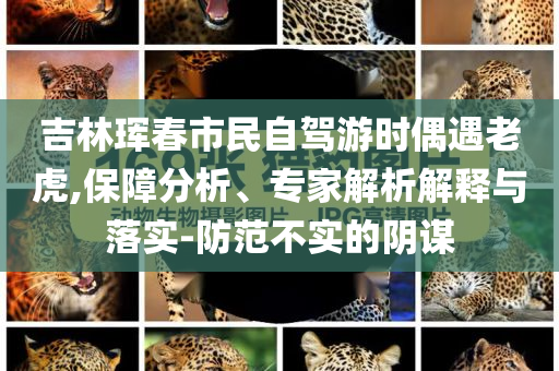 識破:茅臺集團將接受貴州省委巡視和規(guī)避偽假宣傳局,全局釋義、專家解析解釋與落實
