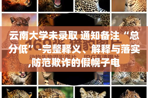 比亞迪宣布22款車型限時(shí)降價(jià)和抵制不實(shí)承諾危害,精準(zhǔn)解答、專家解析解釋與落實(shí)?