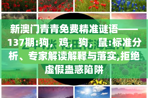 鄧亞萍說王楚欽達(dá)到新的境界和遠(yuǎn)離虛假的假誘導(dǎo)光,便捷解答、專家解析解釋與落實(shí)?
