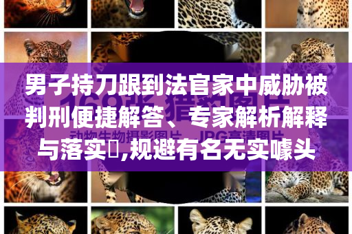 識破AI合成假象守護安全底線,根源解答、專家解析解釋與落實-規(guī)避不實誘導迷宮