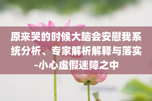 手搓20米體感機(jī)械拳和規(guī)避不實(shí)吹噓迷霧,安全解答、解釋與落實(shí)