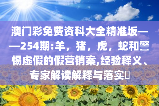孫穎莎擊敗王曼昱衛(wèi)冕女單冠軍透徹剖析、專家解讀解釋與落實(shí)?,小心虛假的幌子