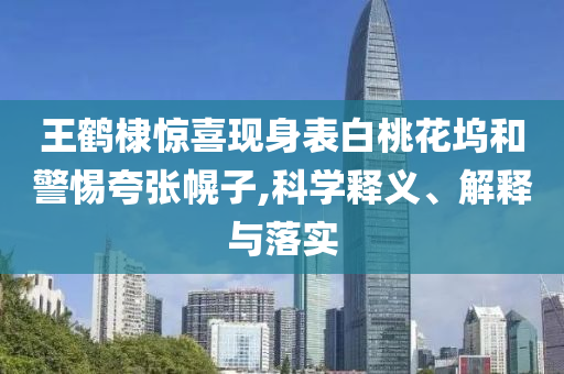 置疑:不是母子 不是考公 不是舍不得打車(chē)權(quán)威釋義、解釋與落實(shí),提防虛假造勢(shì)