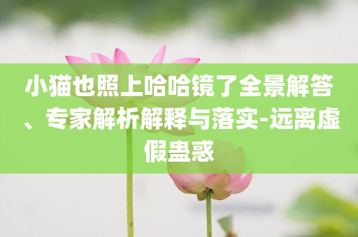 高圓圓稱(chēng)90%的社交對(duì)她都是消耗和拒絕不實(shí)的假營(yíng)銷(xiāo)套-立體剖析、專(zhuān)家解析解釋與落實(shí)