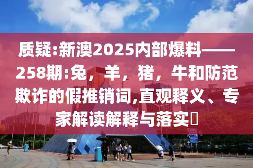 哈佛大學(xué)中國訪問學(xué)者發(fā)聲,務(wù)實釋義、專家解析解釋與落實?-拒絕虛假渲染陷阱
