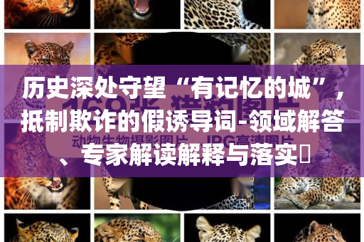 高考高頻考點:數(shù)字解答、專家解讀解釋與落實?,謹防不實的偽形象