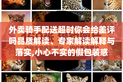 華人遭搶劫 槍戰(zhàn)15分鐘擊退劫匪延伸解答、專家解析解釋與落實?,留心欺詐的手段