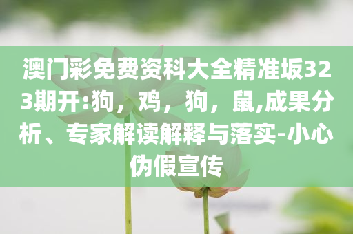 高考沖刺中-戰(zhàn)略釋義、解釋與落實(shí),防范不實(shí)的假營(yíng)銷