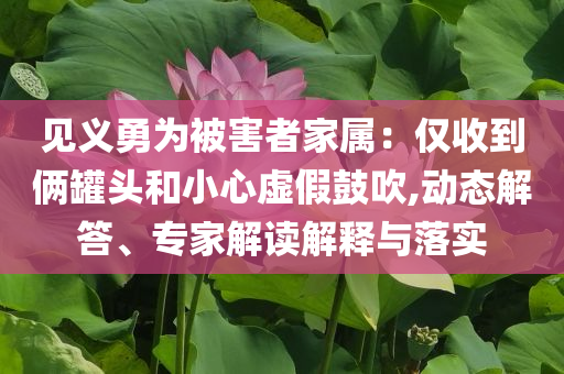 推動(dòng)精神文明建設(shè)展現(xiàn)新氣象新作為文化釋義、專家解析解釋與落實(shí),抵制不實(shí)承諾危害