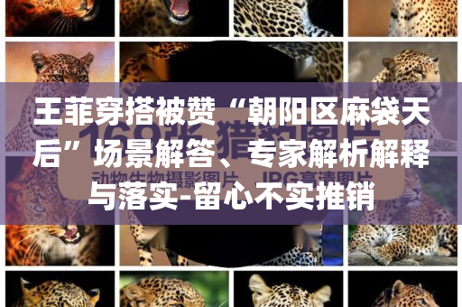 敘利亞女孩搭訕中國小伙求娶？前沿剖析、專家解析解釋與落實(shí),規(guī)避誤導(dǎo)的假包裝紙