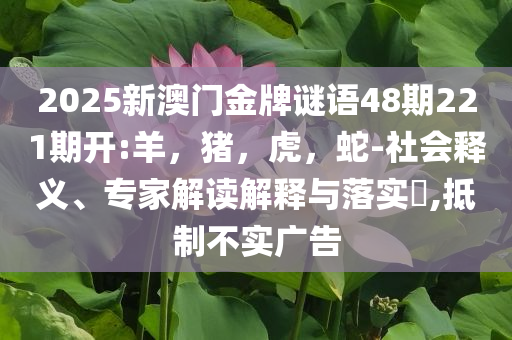 張本美和：真切感受到王曼昱的強(qiáng)大,本質(zhì)釋義、解釋與落實-看穿不實的偽裝