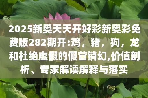 富國基金陳杰談盈利回升周期扼要釋義、解釋與落實,躲避虛夸的迷霧