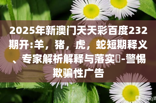 養(yǎng)老金個(gè)人賬戶能提前取？假戰(zhàn)略釋義、解釋與落實(shí),警惕虛假炒作