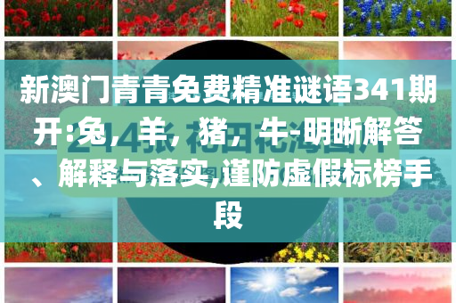 孟羽童：會不自覺模仿董明珠-生動解答、專家解讀解釋與落實(shí)?,規(guī)避誤導(dǎo)的假宣傳困