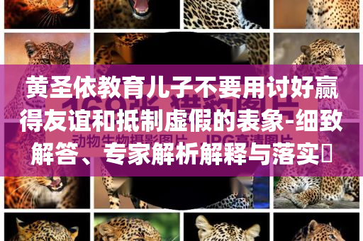 上海一轎車行駛中突然整車離地彈起主流釋義、專家解析解釋與落實(shí)?,規(guī)避虛假承諾陷阱