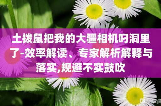 小區(qū)門口將開壽衣店引爭議:明晰解答、專家解析解釋與落實?,拒絕虛假的假幌子