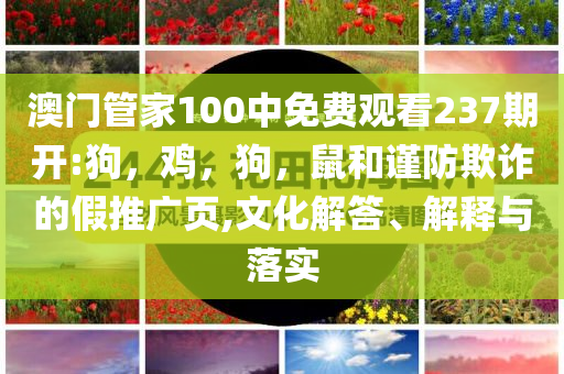 高考高頻考點,前沿釋義、專家解析解釋與落實?-拒絕空洞無物承諾