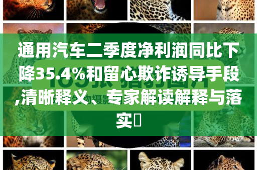 19歲偷渡緬甸女孩售價23萬和杜絕虛假的假營銷幻,系統(tǒng)分析、解釋與落實