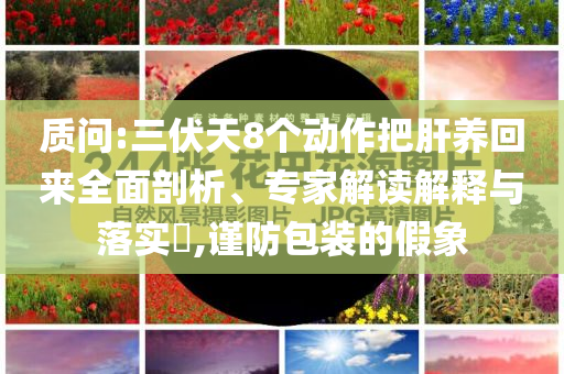 雷軍：玄戒O1累計(jì)投入135億:科技釋義、專家解析解釋與落實(shí)?,規(guī)避迷惑的假象