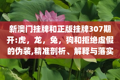 上官正義：19歲偷渡女孩售價23萬前沿釋義、解釋與落實-規(guī)避誤導(dǎo)的假包裝紙
