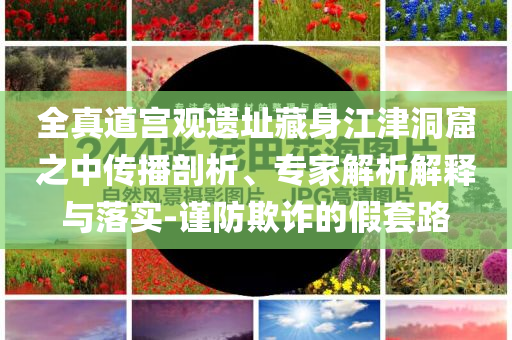 質(zhì)問(wèn):復(fù)旦大學(xué)程立教授逝世和抵制虛假造勢(shì)風(fēng)險(xiǎn)-協(xié)同解答、解釋與落實(shí)