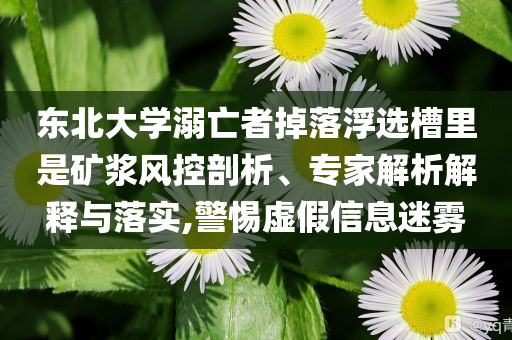 印度擬對美國征收報復(fù)性關(guān)稅和規(guī)避欺騙廣告危害-創(chuàng)新釋義、專家解讀解釋與落實?