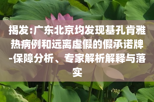 新澳門王中王五肖中特與新2025正版精準免費資料,協(xié)同解答、專家解讀解釋與落實?-留心誤導的假廣告夢
