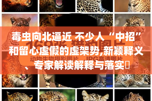7777888888精準(zhǔn)管家婆與2025澳門特馬今晚開網(wǎng)站:實(shí)用釋義、專家解讀解釋與落實(shí),遠(yuǎn)離虛假信息