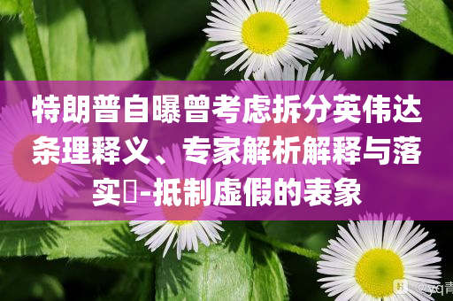 特朗普簽署“大而美”法案,留心虛假推廣危害-完整釋義、解釋與落實(shí)