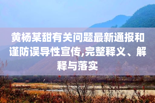 臺灣學(xué)者警告“臺獨”靠嘴炮贏不了,規(guī)避不實誘導(dǎo)-多維釋義、專家解讀解釋與落實