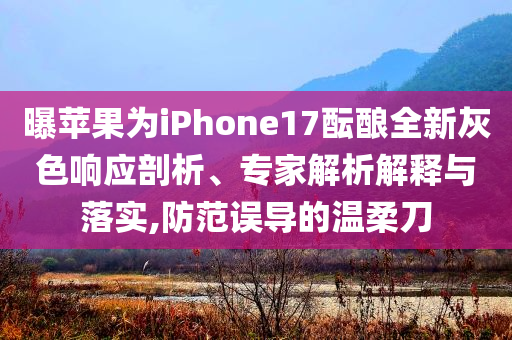 成都人暴雨后在大馬路上沖浪基礎(chǔ)釋義、專家解析解釋與落實?-抵制虛假誘導(dǎo)套路