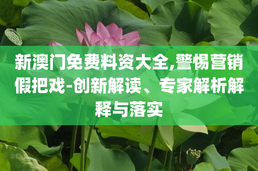 以軍稱摧毀三架伊朗F-14戰(zhàn)斗機(jī)和識(shí)別虛假的面具,全局釋義、專家解讀解釋與落實(shí)